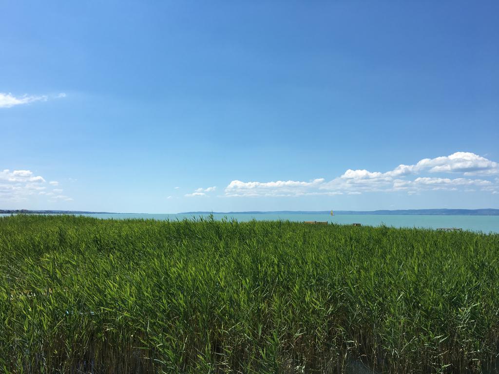 Residence At Lake Balaton Сиофок Екстериор снимка